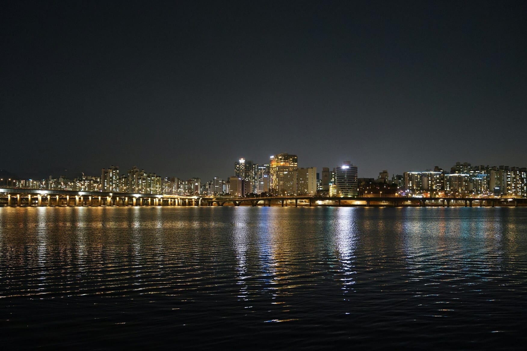 나이트라이프 가이드